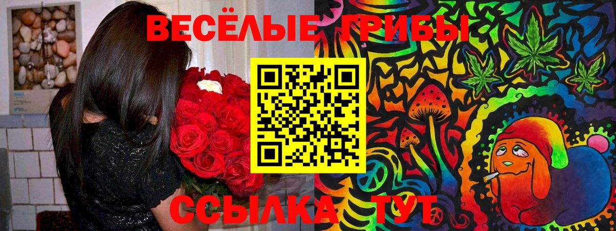 Чебаркуль  Галлюциногенные грибы Magic Shrooms  Вход с VPN 